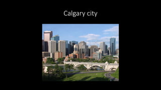Calgary city
 