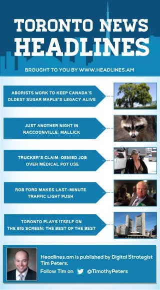 BROUGHT TO YOU BY WWW.HEADLINES.AM 
ABORISTS WORK TO KEEP CANADA'S 
OLDEST SUGAR MAPLE'S LEGACY ALIVE 
JUST ANOTHER NIGHT IN 
RACCOONVILLE: MALLICK 
TRUCKER'S CLAIM: DENIED JOB 
OVER MEDICAL POT USE 
ROB FORD MAKES LAST-MINUTE 
TRAFFIC LIGHT PUSH 
TORONTO PLAYS ITSELF ON 
THE BIG SCREEN: THE BEST OF THE BEST 
Headlines.am is published by Digital Strategist 
Tim Peters. 
Follow Tim on @TimothyPeters 
