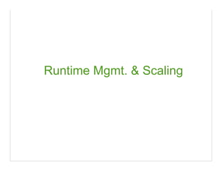 Runtime Mgmt. & Scaling
 