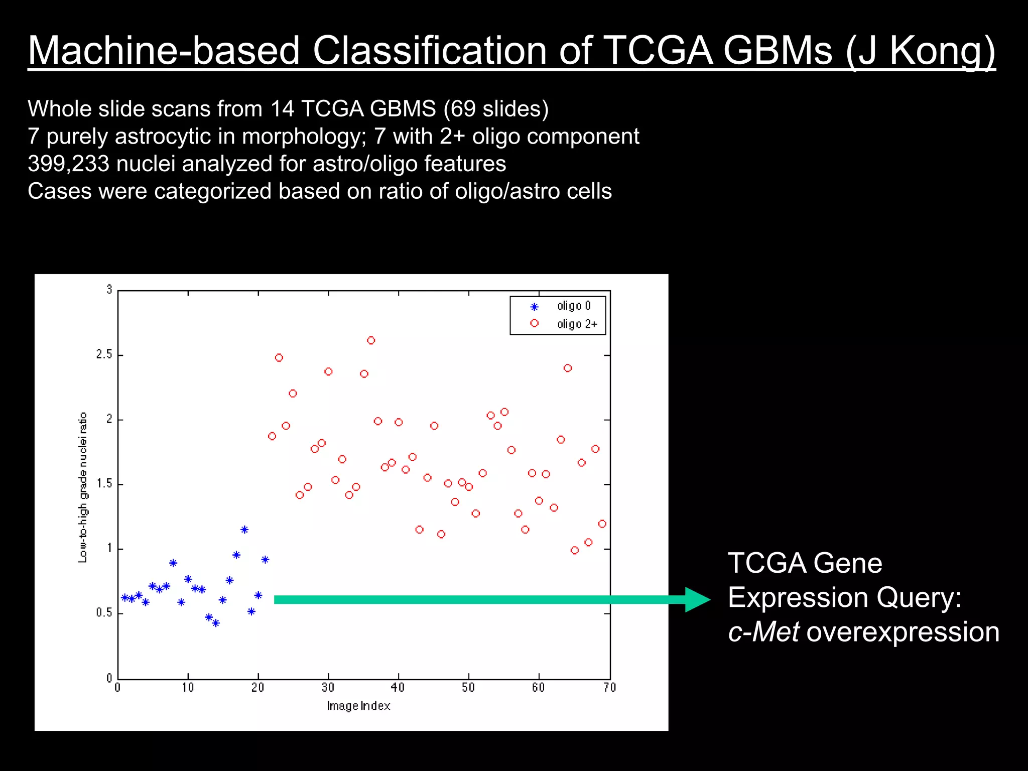 Machine-based Classification of TCGA GBMs (J Kong)
Whole slide scans from 14 TCGA GBMS (69 slides)
7 purely astrocytic in morphology; 7 with 2+ oligo component
399,233 nuclei analyzed for astro/oligo features
Cases were categorized based on ratio of oligo/astro cells




                                                               TCGA Gene
                                                               Expression Query:
                                                               c-Met overexpression
 
