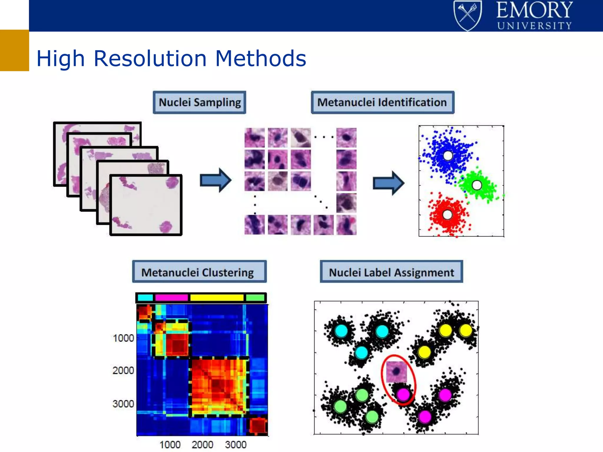 Center for Comprehensive Informatics

                                       High Resolution Methods
 