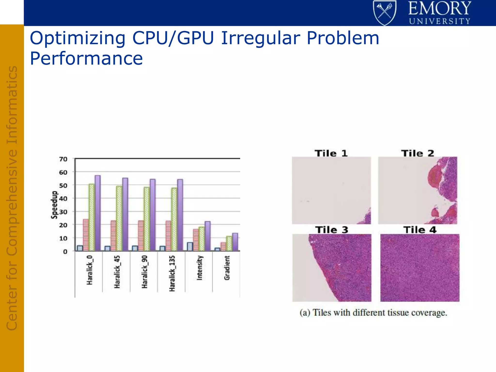 Optimizing CPU/GPU Irregular Problem
                                       Performance
Center for Comprehensive Informatics
 