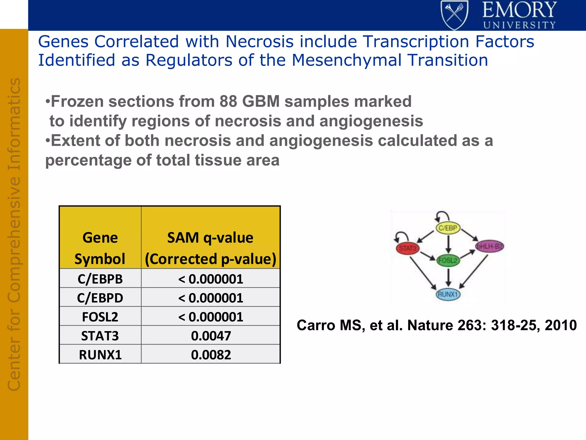 Genes Correlated with Necrosis include Transcription Factors
                                       Identified as Regulators of the Mesenchymal Transition
Center for Comprehensive Informatics




                                       •Frozen sections from 88 GBM samples marked
                                        to identify regions of necrosis and angiogenesis
                                       •Extent of both necrosis and angiogenesis calculated as a
                                       percentage of total tissue area



                                            Gene       SAM q-value
                                           Symbol   (Corrected p-value)
                                           C/EBPB       < 0.000001
                                           C/EBPD       < 0.000001
                                            FOSL2       < 0.000001
                                                                          Carro MS, et al. Nature 263: 318-25, 2010
                                            STAT3         0.0047
                                           RUNX1          0.0082
 