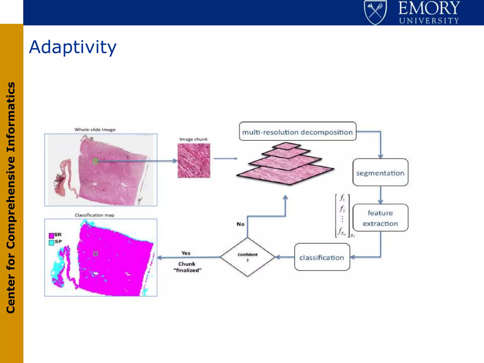 Center for Comprehensive Informatics


                                       Adaptivity
 
