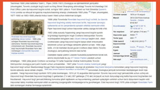 toronto turizmi.pptx