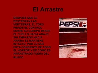 El Arrastre   DESPUES QUE LE DESTROZAN LAS VERTEBRAS, EL TORO PIERDE EL CONTROL SOBRE SU CUERPO DESDE EL CUELLO HACIA ABAJO, SIN EMBARGO HACIA ARRIBA SE MANTIENE INTACTO, POR LO QUE ESTA CONCIENTE DE TODO EL HORROR Y DE CÓMO ES ARRASTRADO FUERA DEL RUEDO.   