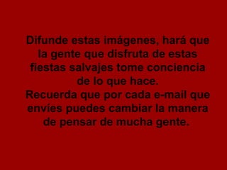 Difunde estas imágenes, hará que la gente que disfruta de estas fiestas salvajes tome conciencia de lo que hace. Recuerda que por cada e-mail que envíes puedes cambiar la manera de pensar de mucha gente.   
