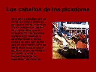 Los caballos de los picadores   Se eligen a caballos que ya no tienen valor comercial, por que el animal muere en 3 o 4 corridas a lo mucho, es muy habitual que el animal sufra quebraduras múltiples de costillas o destripamientos. Se les coloca un peto simulando que se les protege, pero en realidad se trata de que el publico no vea las heridas al caballo que con frecuencia presentan exposición de vísceras.  