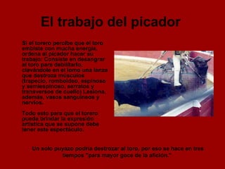 El trabajo del picador   Si el torero percibe que el toro embiste con mucha energía, ordena al picador hacer su trabajo: Consiste en desangrar al toro para debilitarlo, clavándole en el lomo una lanza que destroza músculos (trapecio, romboideo, espinoso y semiespinoso, serratos y transversos de cuello) Lesiona, además, vasos sanguíneos y nervios. Todo esto para que el torero pueda brindar la expresión artística que se supone debe tener este espectáculo.  Un solo puyazo podría destrozar al toro, por eso se hace en tres tiempos "para mayor goce de la afición."  