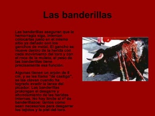 Las banderillas Las banderillas aseguran que la hemorragia siga, intentan colocarlas justo en el mismo sitio ya dañado con los ganchos de metal. El gancho se mueve dentro de la herida con cada movimiento del toro y con el roce de la muleta, el peso de las banderillas tiene precisamente esa función. Algunas tienen un arpón de 8 cm, y se les llama "de castigo", se las clavan cuando ha logrado evadir la lanza del picador. Las banderillas prolongan el desgarre y ahondamiento de las heridas internas. No hay límite al nº de banderillazos: tantos como sean necesarios para desgarrar los tejidos y la piel del toro.  
