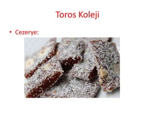 Toros Koleji
• Cezerye:
 