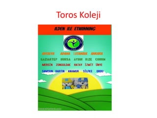 Toros Koleji
 