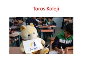 Toros Koleji
 
