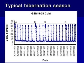 Date
03/27/2006

03/17/2006

03/08/2006

C

02/27/2006

02/18/2006

02/09/2006

01/31/2006

01/22/2006

01/13/2006

B

01/04/2006

12/26/2005

12/17/2005

A

12/08/2005

11/28/2005

11/19/2005

11/10/2005

11/01/2005

10/23/2005

45
40
35
30
25
20
15
10
5
0
10/14/2005

Body Temp (c)

Typical hibernation season
GSM-5-05 Cold
D

 