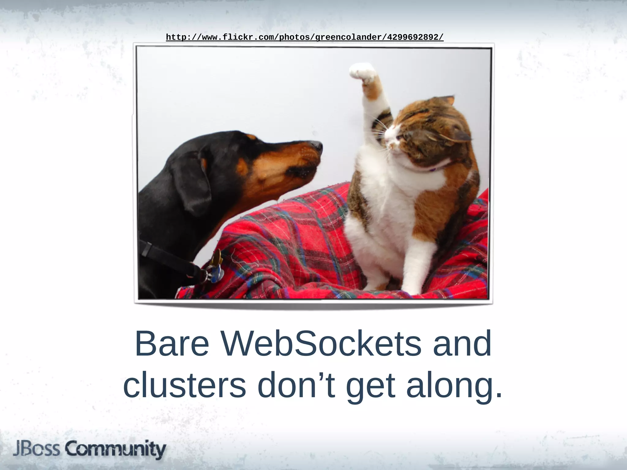 http://www.flickr.com/photos/greencolander/4299692892/




 Bare  WebSockets  and  
clusters  don’t  get  along.
 
