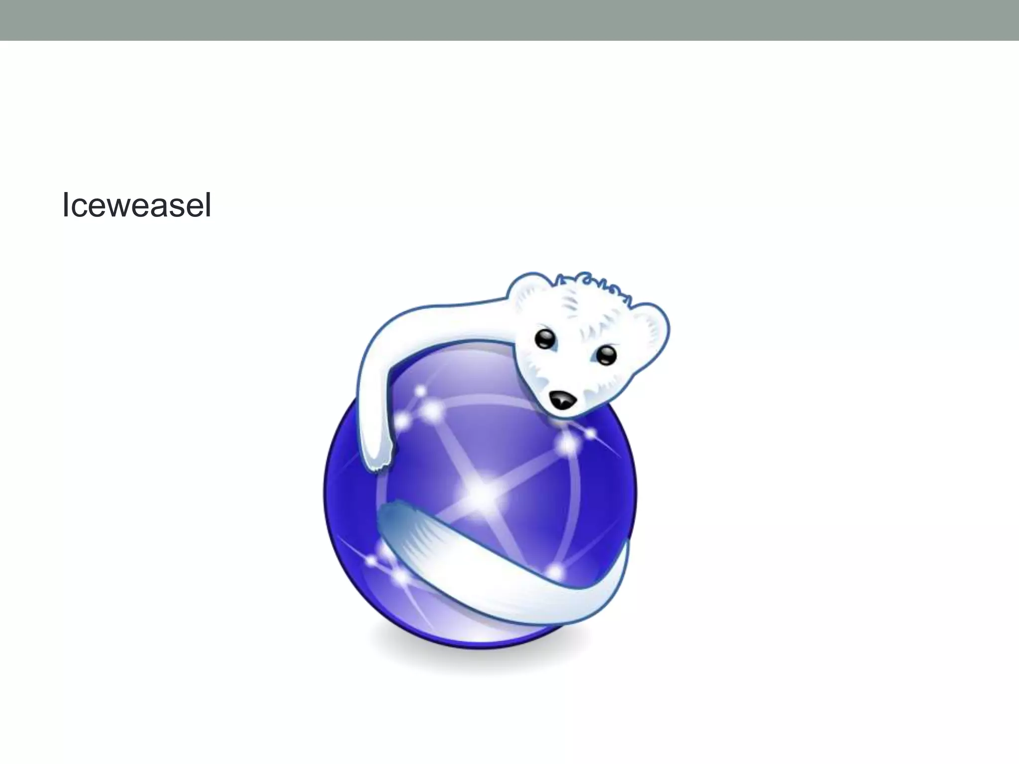 Iceweasel
 