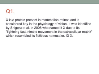 Q1.
X is a protein present in mammalian retinas and is
considered key in the physiology of vision. It was identified
by Shigeru et al. in 2008 who named it X due to its
"lightning fast, nimble movement in the extracellular matrix"
which resembled its fictitious namesake. ID X.
 