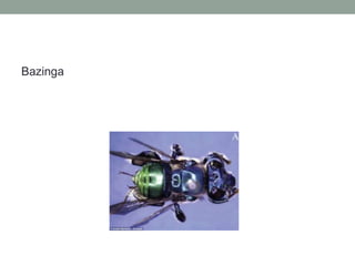 Bazinga
 