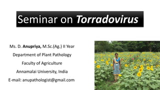 Seminar on Torradovirus
Ms. D. Anupriya, M.Sc.(Ag.) II Year
Department of Plant Pathology
Faculty of Agriculture
Annamalai University, India
E-mail: anupathologist@gmail.com
 