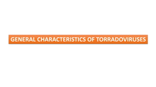 GENERAL CHARACTERISTICS OF TORRADOVIRUSES
 