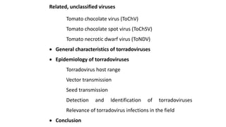 Related, unclassified viruses
Tomato chocolate virus (ToChV)
Tomato chocolate spot virus (ToChSV)
Tomato necrotic dwarf virus (ToNDV)
 General characteristics of torradoviruses
 Epidemiology of torradoviruses
Torradovirus host range
Vector transmission
Seed transmission
Detection and Identification of torradoviruses
Relevance of torradovirus infections in the field
 Conclusion
 