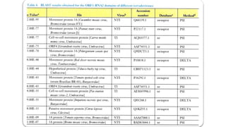 Torradovirus
