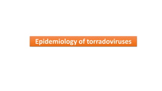 Epidemiology of torradoviruses
 