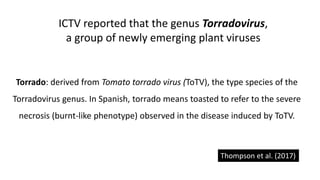 ICTV reported that the genus Torradovirus,
a group of newly emerging plant viruses
Torrado: derived from Tomato torrado virus (ToTV), the type species of the
Torradovirus genus. In Spanish, torrado means toasted to refer to the severe
necrosis (burnt-like phenotype) observed in the disease induced by ToTV.
Thompson et al. (2017)
 