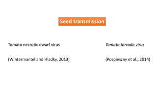 Seed transmission
(Wintermantel and Hladky, 2013) (Pospieszny et al., 2014)
Tomato torrado virusTomato necrotic dwarf virus
 