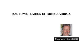 TAXONOMIC POSITION OF TORRADOVIRUSES
Thompson et al. (2017)
 