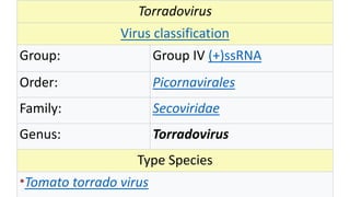 Torradovirus
Virus classification
Group: Group IV (+)ssRNA
Order: Picornavirales
Family: Secoviridae
Genus: Torradovirus
Type Species
•Tomato torrado virus
 