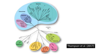 Thompson et al. (2017)
 