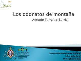 Antonio Torralba-Burrial

V Jornades Odonatològiques de Catalunya

Bellver de Cerdanya
14-15 septiembre 2013

 