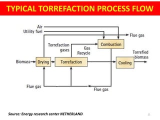 Torrefaction | PPTX