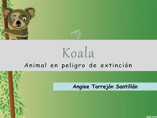 Angiee Torrejón Santillán
 
