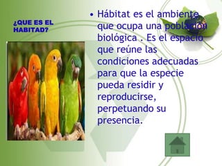 • Hábitat es el ambiente
¿QUE ES EL
HABITAD?       que ocupa una población
               biológica . Es el espacio
               que reúne las
               condiciones adecuadas
               para que la especie
               pueda residir y
               reproducirse,
               perpetuando su
               presencia.
 