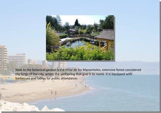 Next to the botanical garden is the Pinar de los Manantiales, extensive forest considered
the lungs of the city, where the wellspring that give it its name. It is equipped with
barbecues and tables for public attendance.
 