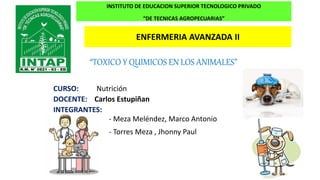 “DE TECNICAS AGROPECUARIAS”
INSTITUTO DE EDUCACION SUPERIOR TECNOLOGICO PRIVADO
ENFERMERIA AVANZADA II
“TOXICO Y QUIMICOS EN LOS ANIMALES”
CURSO: Nutrición
DOCENTE: Carlos Estupiñan
INTEGRANTES:
- Meza Meléndez, Marco Antonio
- Torres Meza , Jhonny Paul
 