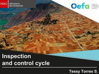 Inspection
and control cycle
Tessy Torres S.
 