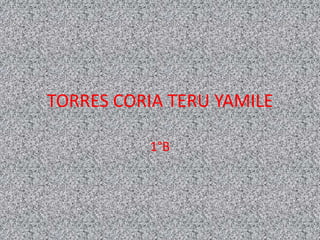 TORRES CORIA TERU YAMILE
1°B

 