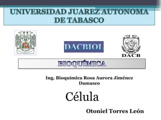 Ing. Bioquímica Rosa Aurora Jiménez Damasco Otoniel Torres León Célula  