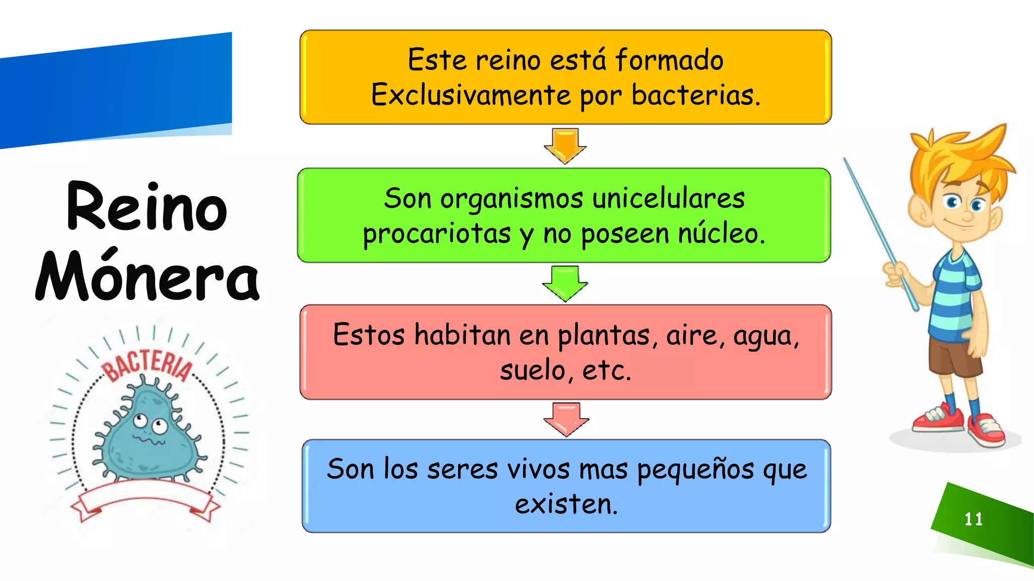 Los reinos de la naturaleza | PPTX