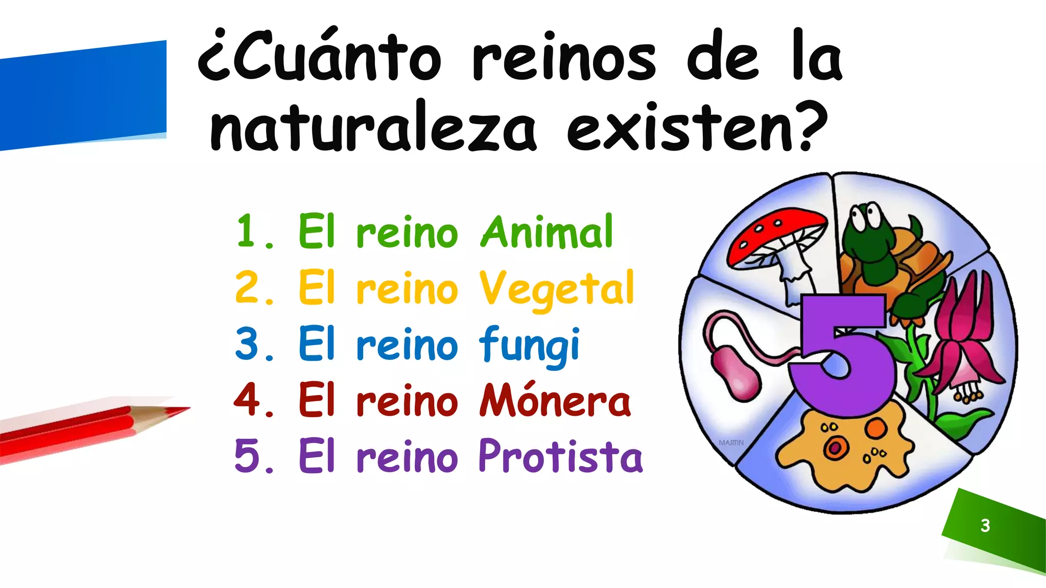 Los reinos de la naturaleza | PPTX