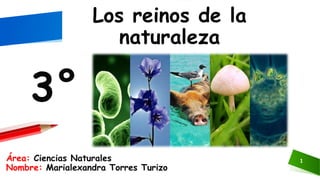 1Área: Ciencias Naturales
Nombre: Marialexandra Torres Turizo
3°
Los reinos de la
naturaleza
 