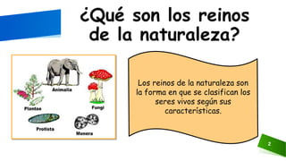 2
¿Qué son los reinos
de la naturaleza?
Los reinos de la naturaleza son
la forma en que se clasifican los
seres vivos segú...