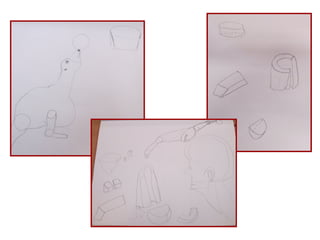 Torres monsó: Les foques