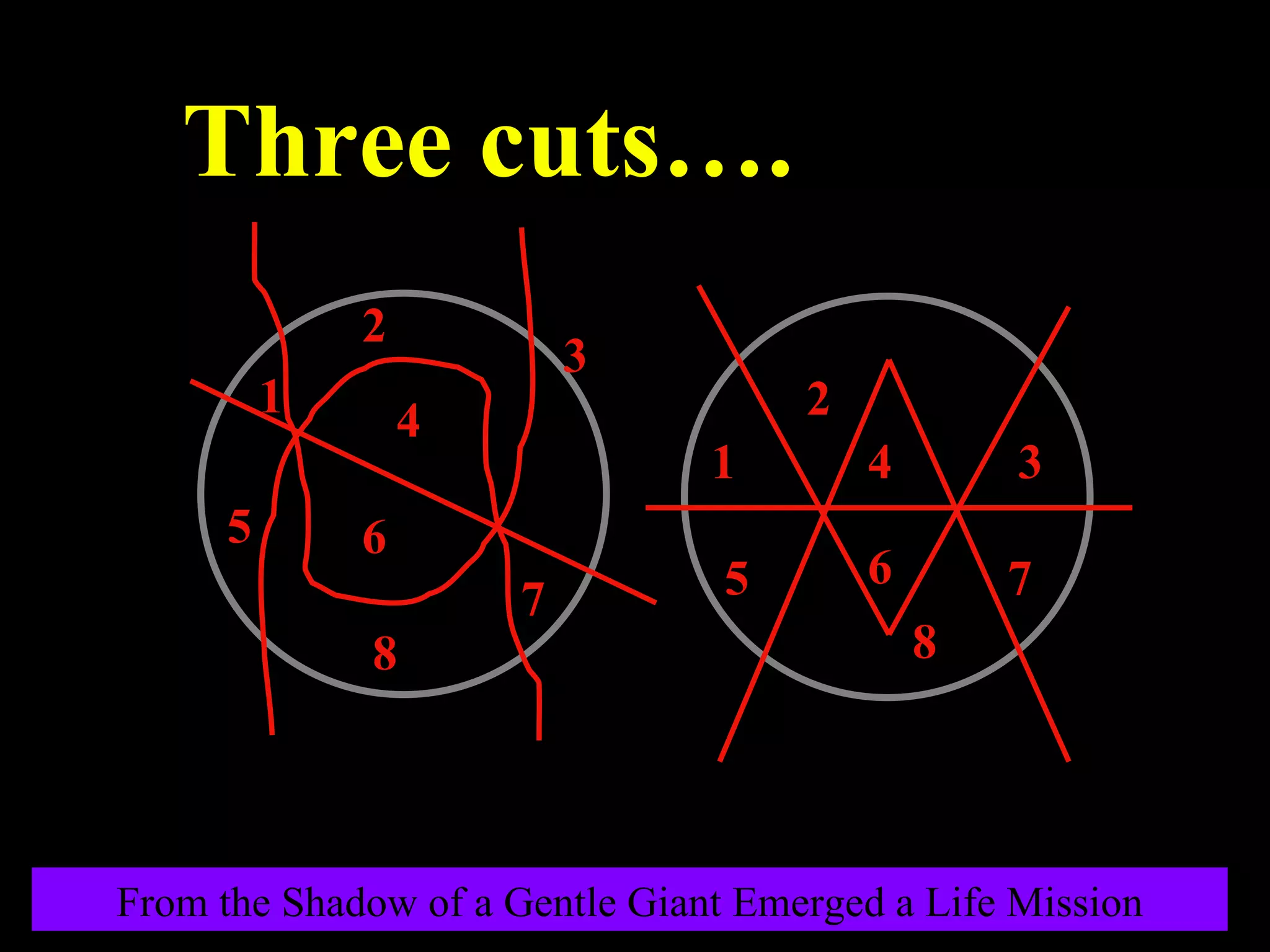 1 2 3 4 5 6 7 8 1 2 3 4 5 6 7 8 Three cuts…. From the Shadow of a Gentle Giant Emerged a Life Mission 