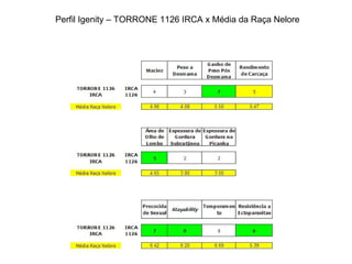 Perfil Igenity – TORRONE 1126 IRCA x Média da Raça Nelore 