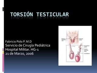 		Torsión Testicular Fabricio Polo P. M.D Servicio de Cirugía Pediátrica Hospital Militar. HG-1 21 de Marzo, 2006 