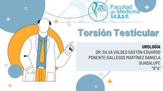 Torsión Testicular
UROLOGÍA
DR. SILVA VALDES GASTÓN EDUARDO
PONENTE:GALLEGOS MARTÍNEZ DANIELA
GUADALUPE
“9°A”
 